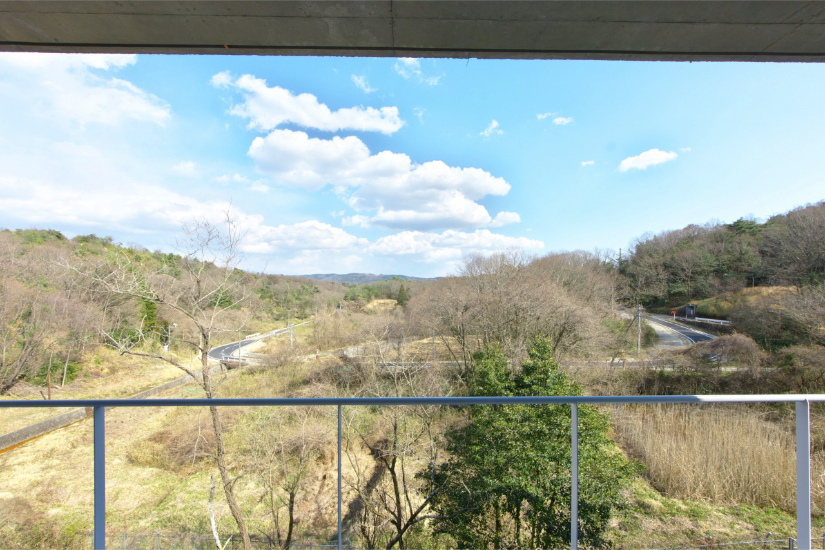 飛島村 (山形県)